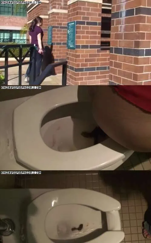 Alina fait ses besoins dans les toilettes publiques - vidéo scato
