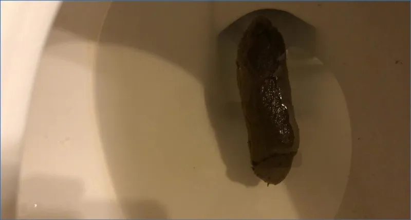 Tina Amazon écrase une grosse masse fécale dans les toilettes - vidéo scato