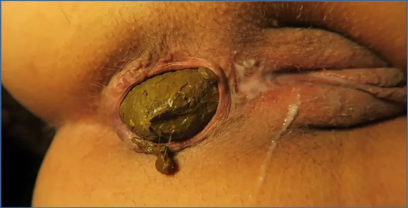 Rachelle Love cède à l'appel du scat après la baise - vidéo fétiche