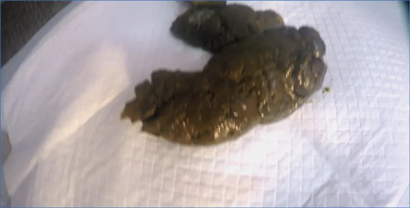 Love Rachelle expulse trois dures saucisses dans son solo - vidéo fétiche